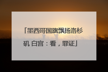 墨西哥国旗飘扬洛杉矶 白宫：看，罪证