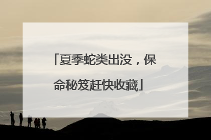 夏季蛇类出没，保命秘笈赶快收藏
