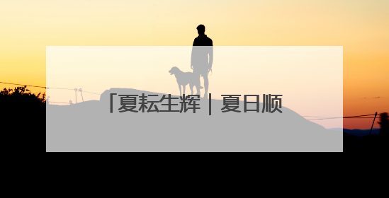 夏耘生辉｜夏日顺义满是农趣期待