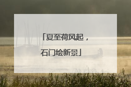 夏至荷风起，石门绘新景