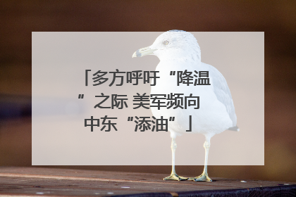 多方呼吁“降温”之际 美军频向中东“添油”