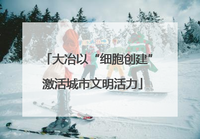 大冶以“细胞创建”激活城市文明活力