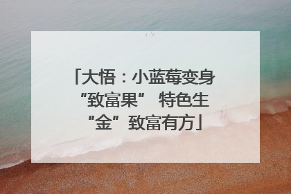 大悟：小蓝莓变身“致富果” 特色生“金”致富有方