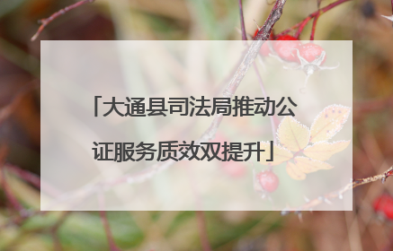 大通县司法局推动公证服务质效双提升