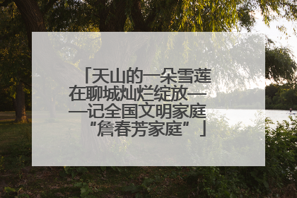 天山的一朵雪莲在聊城灿烂绽放——记全国文明家庭“詹春芳家庭”