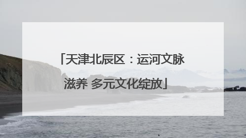 天津北辰区：运河文脉滋养 多元文化绽放