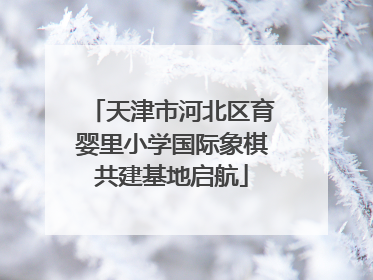 天津市河北区育婴里小学国际象棋共建基地启航
