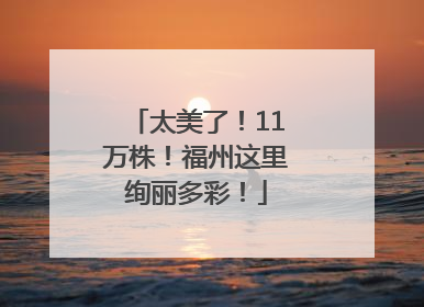 太美了！11万株！福州这里绚丽多彩！
