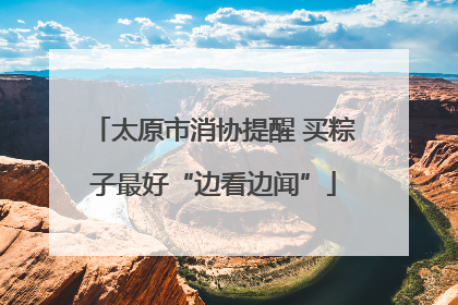 太原市消协提醒 买粽子最好“边看边闻”