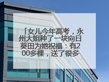 女儿今年高考，永州大姐种了一块向日葵田为她祝福：有200多棵，送了很多给其他家长