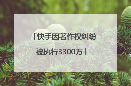 快手因著作权纠纷被执行3300万