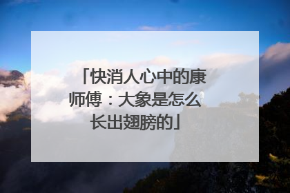 快消人心中的康师傅：大象是怎么长出翅膀的