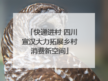 快递进村 四川宣汉大力拓展乡村消费新空间