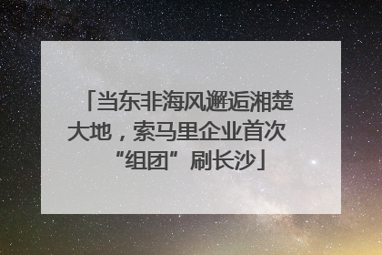 当东非海风邂逅湘楚大地，索马里企业首次“组团”刷长沙
