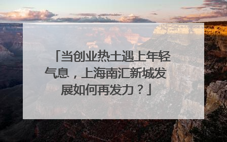 当创业热土遇上年轻气息，上海南汇新城发展如何再发力？