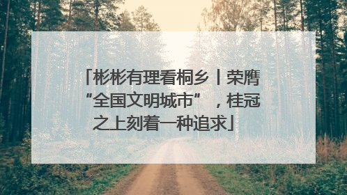 彬彬有理看桐乡丨荣膺“全国文明城市”，桂冠之上刻着一种追求
