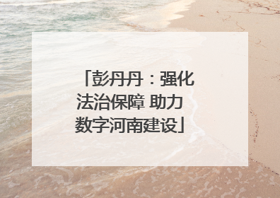 彭丹丹：强化法治保障 助力数字河南建设