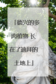 德兴的多肉植物 长在了迪拜的土地上