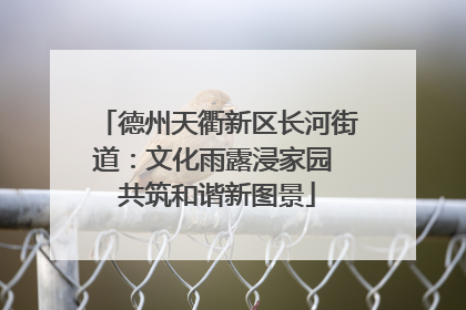 德州天衢新区长河街道：文化雨露浸家园 共筑和谐新图景