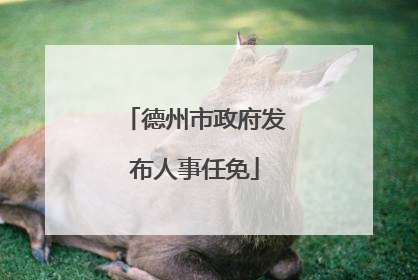 德州市政府发布人事任免