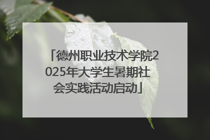 德州职业技术学院2025年大学生暑期社会实践活动启动