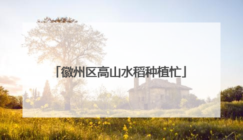 徽州区高山水稻种植忙