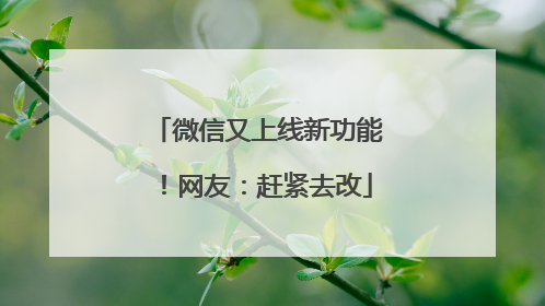 微信又上线新功能！网友：赶紧去改