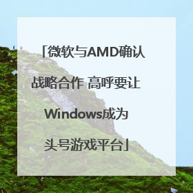 微软与AMD确认战略合作 高呼要让Windows成为头号游戏平台