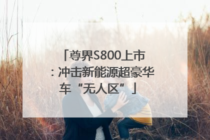 尊界S800上市：冲击新能源超豪华车“无人区”