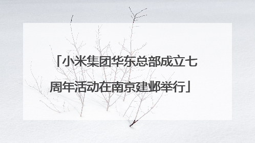 小米集团华东总部成立七周年活动在南京建邺举行