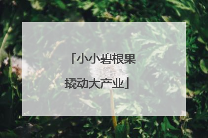 小小碧根果撬动大产业