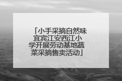 小手采摘自然味 宜宾江安西江小学开展劳动基地蔬菜采摘售卖活动