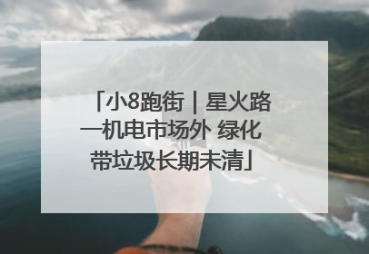 小8跑街｜星火路一机电市场外 绿化带垃圾长期未清
