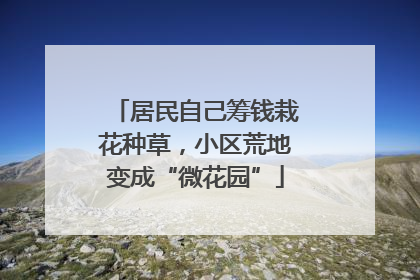 居民自己筹钱栽花种草，小区荒地变成“微花园”