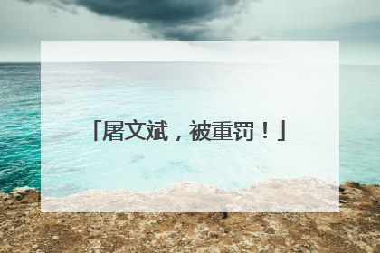 屠文斌，被重罚！