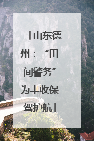山东德州：“田间警务”为丰收保驾护航