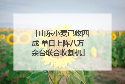 山东小麦已收四成 单日上阵八万余台联合收割机