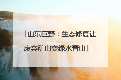 山东巨野：生态修复让废弃矿山变绿水青山