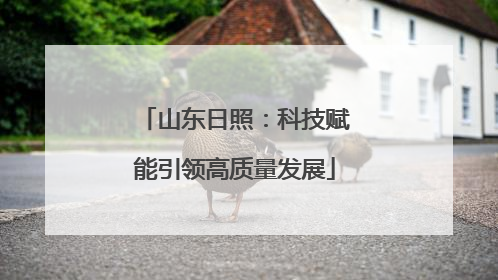 山东日照：科技赋能引领高质量发展
