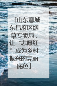 山东聊城东昌府区烟草专卖局：让“志愿红”成为乡村振兴的亮丽底色