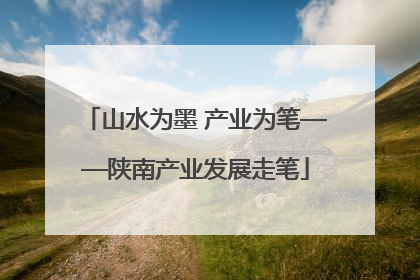 山水为墨 产业为笔——陕南产业发展走笔