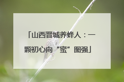 山西晋城养蜂人：一颗初心向“蜜”图强