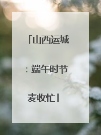山西运城：端午时节麦收忙