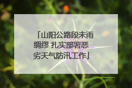 山阳公路段未雨绸缪 扎实部署恶劣天气防汛工作
