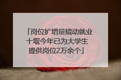 岗位扩增量撬动就业 十堰今年已为大学生提供岗位2万余个
