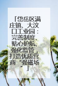 岱岳区满庄镇、大汶口工业园：完善制度、贴心护航、强化监管，打造优质营商“强磁场”