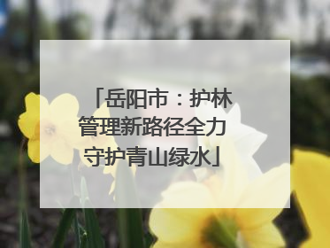 岳阳市：护林管理新路径全力守护青山绿水
