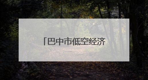 巴中市低空经济产业推介活动在巴中企业（成都）幸福中心成功举办