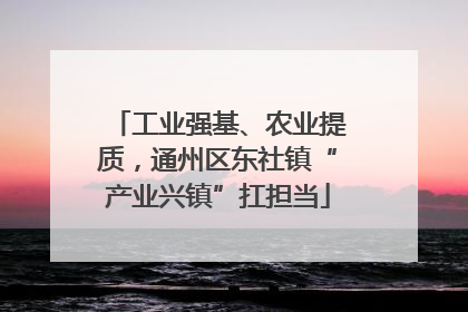 工业强基、农业提质，通州区东社镇“产业兴镇”扛担当