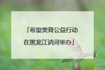 希望美育公益行动在黑龙江讷河举办